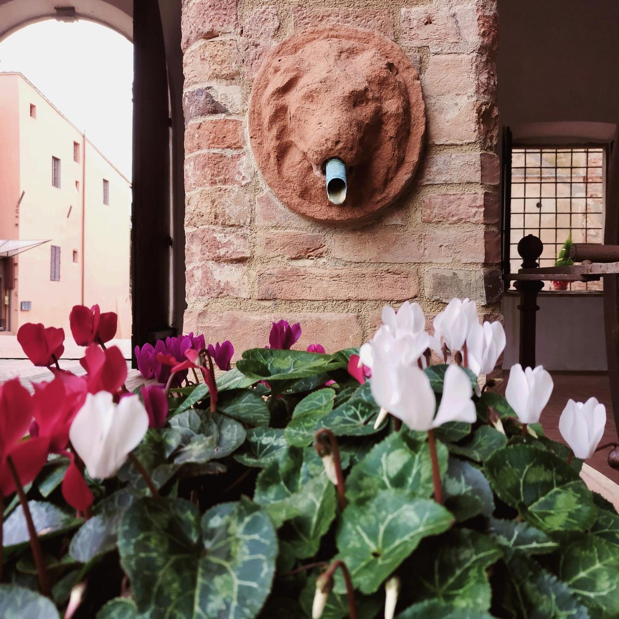 Palazzo Stiozzi Ridolfi Apartamento Certaldo Exterior foto