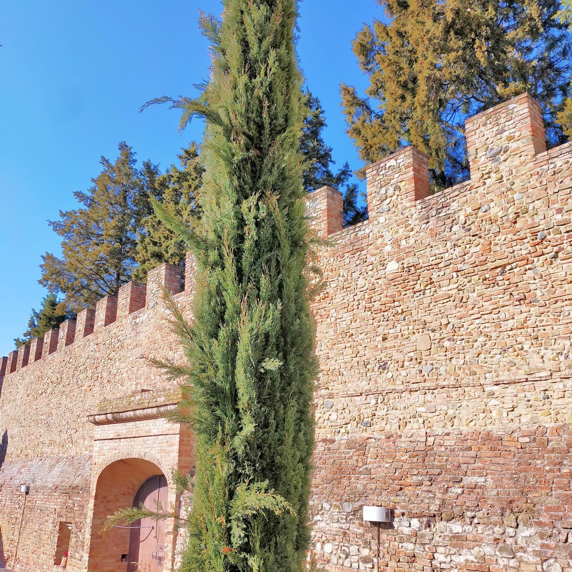 Palazzo Stiozzi Ridolfi Apartamento Certaldo Exterior foto